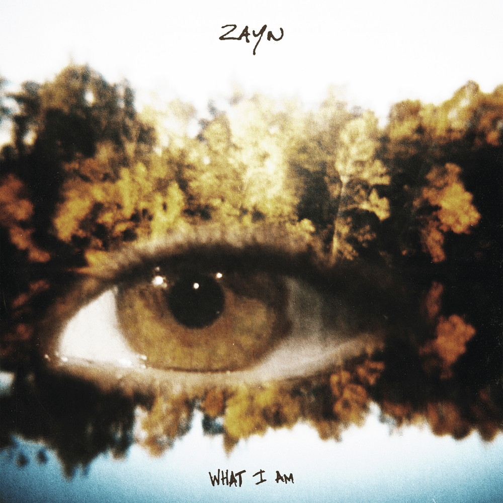 Zayn - What I Am