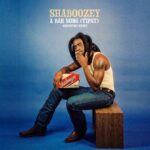 Shaboozey - A Bar Song (Tipsy)