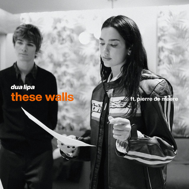 Dua Lipa ft. Pierre de Maere - These Walls